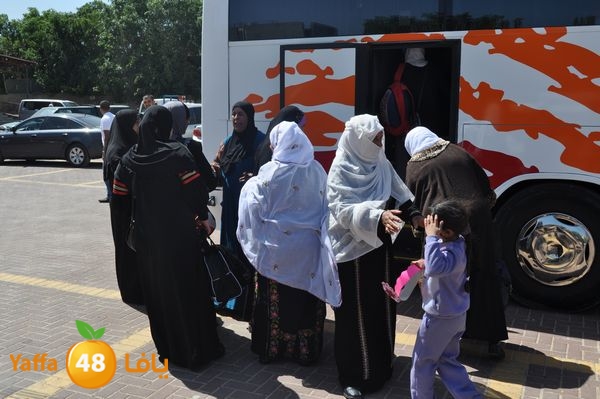 3omrashneer321 (8).JPG